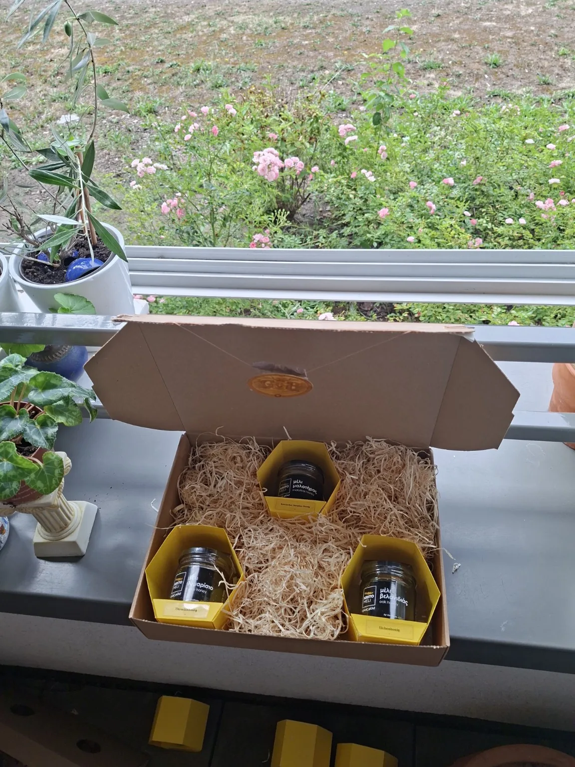 Drei Honiggläser in der Geschenkbox, Aufnahme 8376